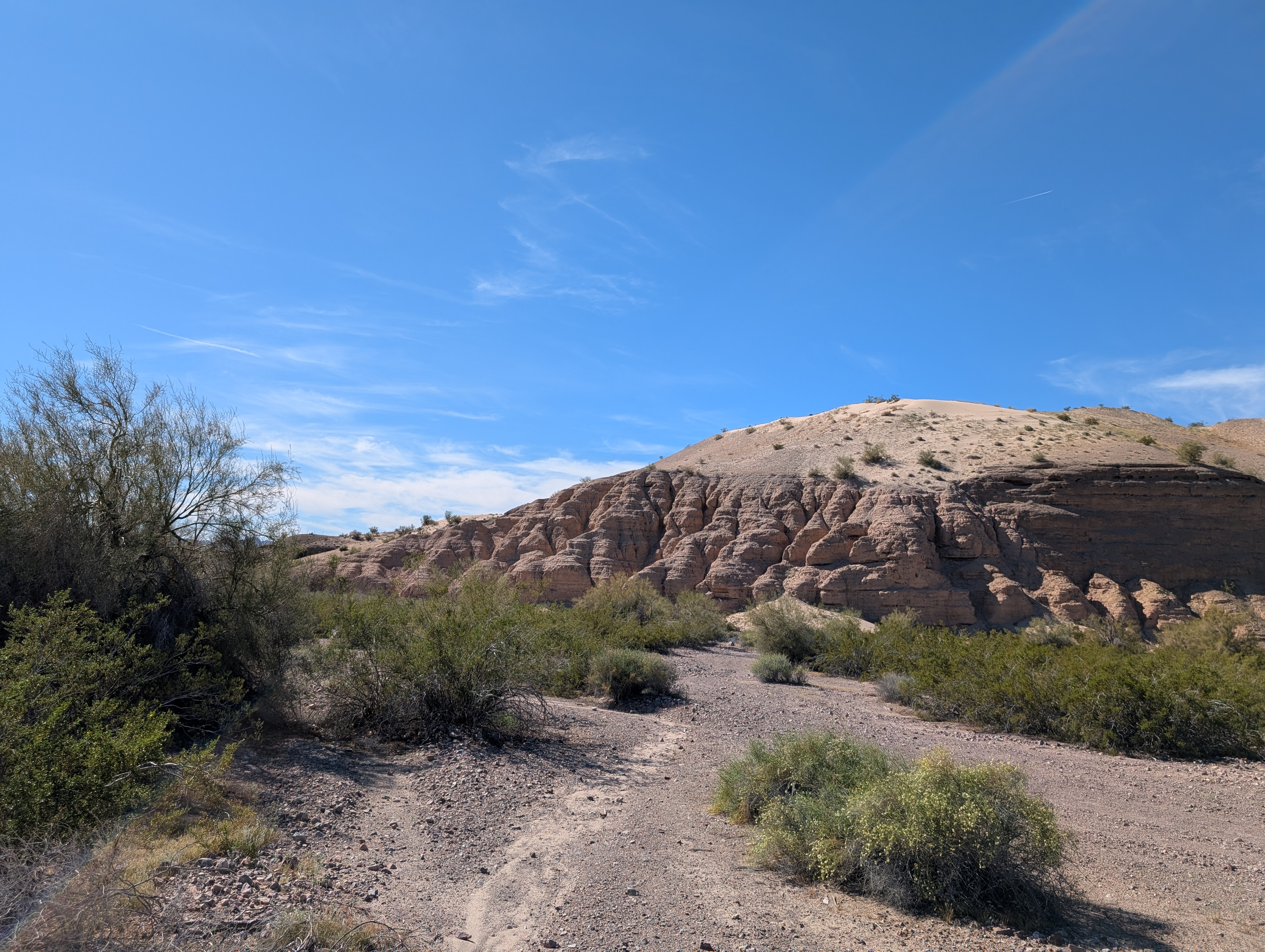 Pxl 20260304 214952963